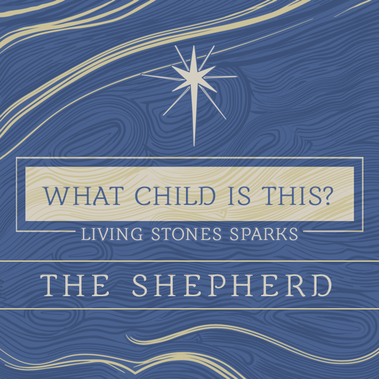 Living Stones Church Sparks