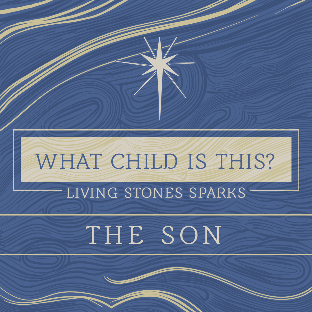 Living Stones Church Sparks