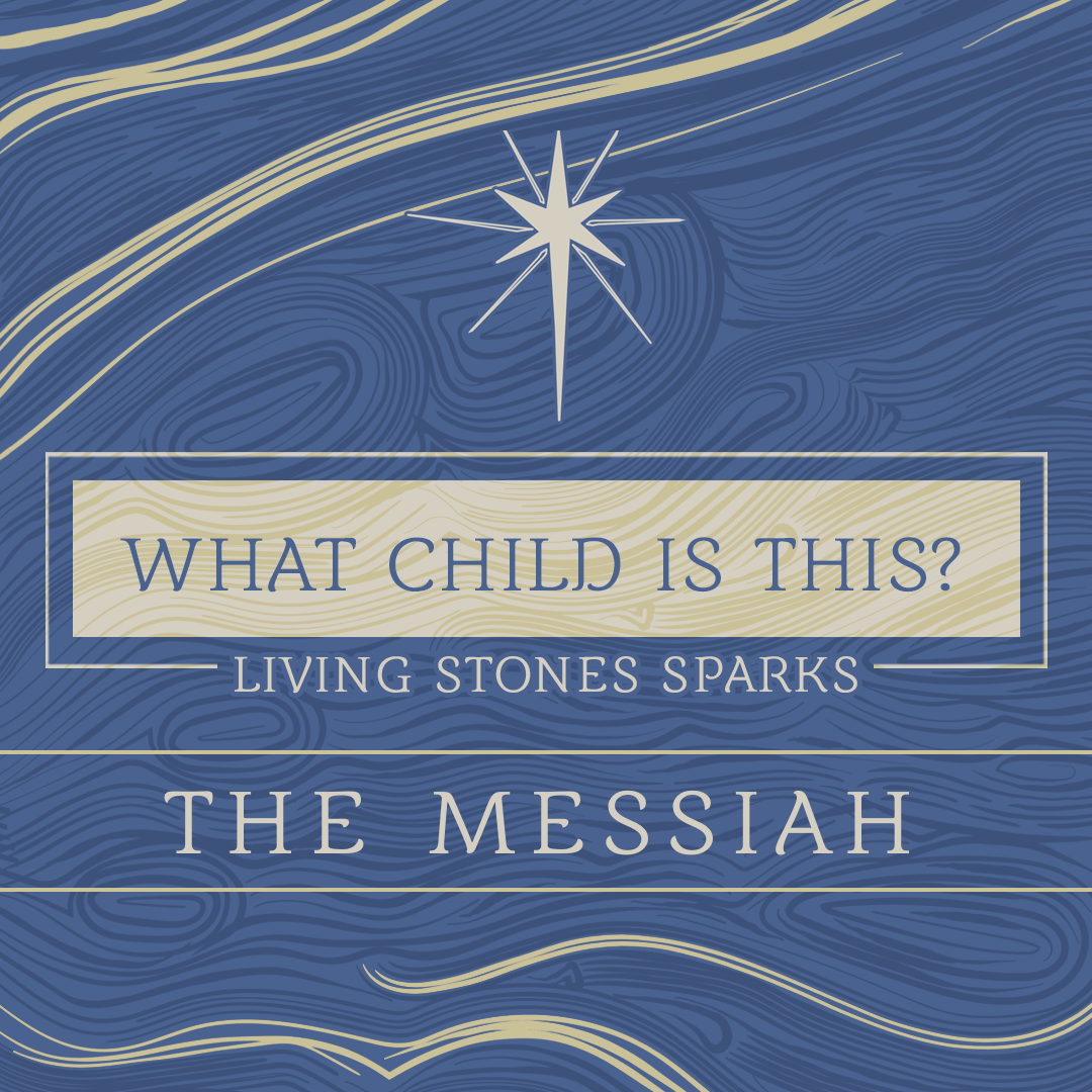 Living Stones Church Sparks